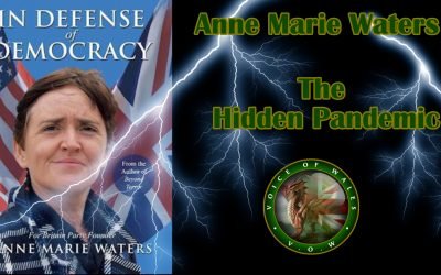 Political Policing in Wales with Anne Marie And Steve Bluelight