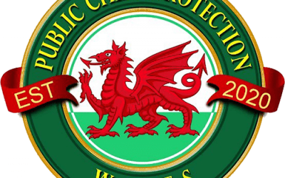 Public Child Protection Wales – Caroline Jones