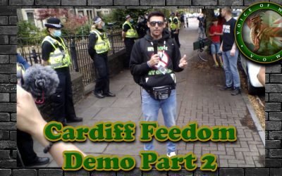 Voice Of Wales – World Freedom Rally Cardiff Part 2