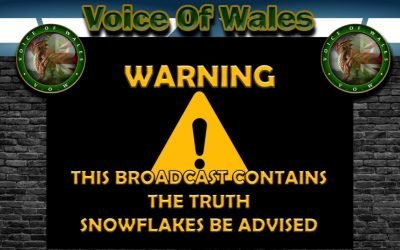 Voice of Wales – Reply to BBC LIEve