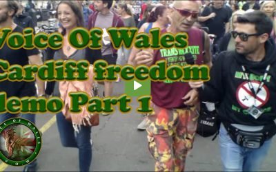 Voice Of Wales – Cardiff freedom demo Part 1