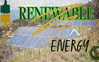 Swansea Businesses Encouraged to Plug into Golar Power