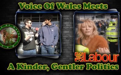 Voice Of Wales Assaulted by Labour Loon