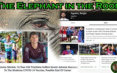 The Elephant in the Room