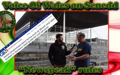 Voice Of Wales on Senedd Newspeak