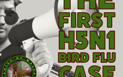 The First H5N1 Bird Flu Case