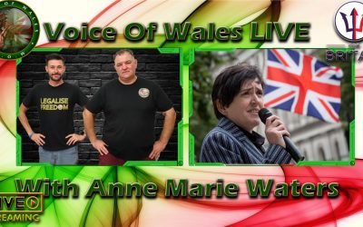 Voice Of Wales with Anne Marie Waters