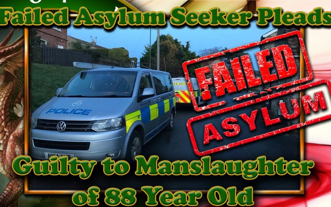 Failed Asylum Seeker Pleads Guilty to Manslaughter of 88 Year Old