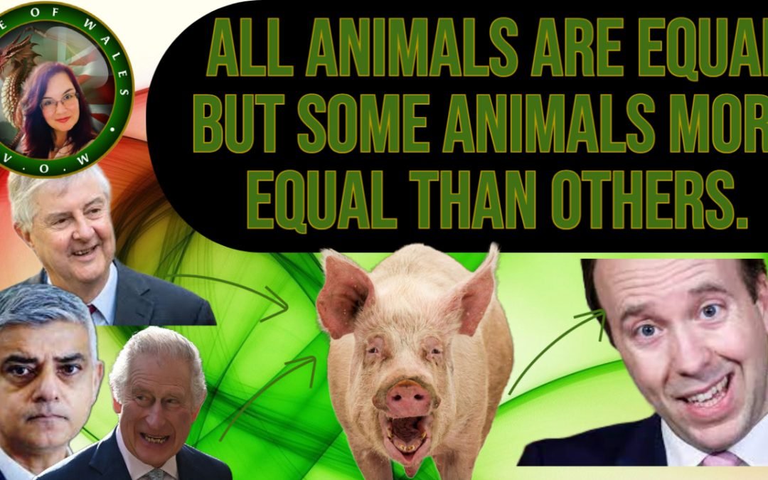 All Animals Are Equal but Some Animals More Equal Than Others
