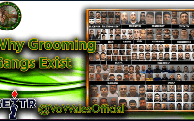 Why do Grooming Gangs Exist