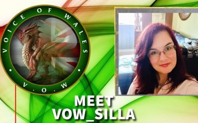 Meet VoW Silla