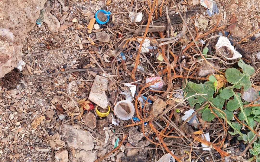 Littering Morocco: A Journey Through Neglect